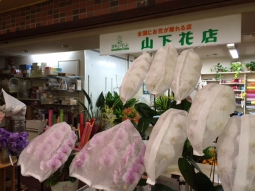 「山下花店」　（兵庫県養父市）の花屋店舗写真1